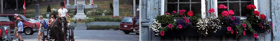 Lunenburg Queens banner image 2
