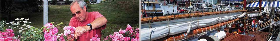 Lunenburg Queens banner image 4
