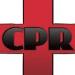 CPR Auto Glass Repair
