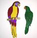 Arbutus Crafts