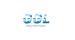 Galaxy Global Logistics Inc.