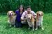Heartland Niagara Animal Hospital