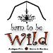 Barn to be Wild
