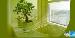 Green Villas