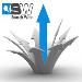 Search Wire LLC