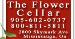 The Flower Cellar