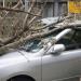 American Family Insurance - Frank Randazzo