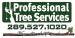 Professional Tree Services