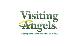 Visiting Angels Inc.