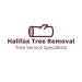 Halifax Tree Removal