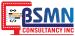 Bsmnconsultancy