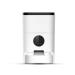 Automatic Pet Feeder | Tool.com
