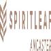 Spiritleaf Ancaster Cannabis Dispensary