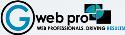G Web Pro Marketing Inc. company logo