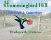 Hummingbird Hill Antiques and Collectibles at Twindmills Markets