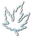 Silver Maple Web company logo