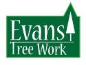 EVANS TREE WORK company logo