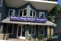 Dalton Road Animal Hospital company logo