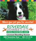 Roverdale Doggie B&B company logo