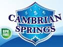 Cambrian Springs company logo