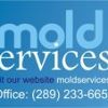 MoldServices.ca Inc. company logo
