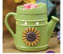 Sasha Spring - Independant Scentsy Consultant company logo