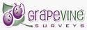 Grapevine Solutions company logo