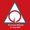 The Web Miracle - Website Business Consultant company logo
