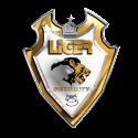 LiGER Security Corporation company logo