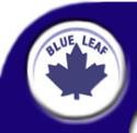 Blue Leaf Ltd. company logo