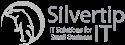 Silvertip IT company logo
