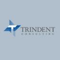 Trindent Management Consulting Inc. company logo