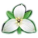 Trillium Paralegal Services company logo