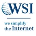 WSI - SureLink Internet Marketing Solutions Inc. company logo