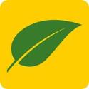 The Grounds Guys Landscape Management company logo