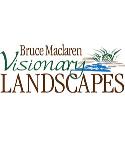 Visionary Landscapes company logo