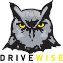 DriveWise company logo
