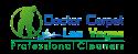 Doctor Carpet Las Vegas company logo