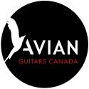 Avian Guitars Canada company logo