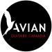 Avian Guitars Canada