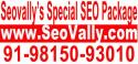 Search Engine Optimization company logo