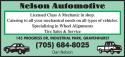 Nelson Automotive company logo