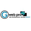G Web Pro Marketing Inc. company logo