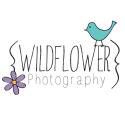 Wildflower Photography company logo