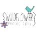 Wildflower Photography