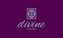 Divine Door Designs company logo