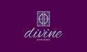 Divine Door Designs company logo