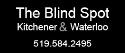 The Blind Spot company logo