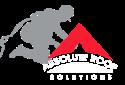 Absolute Roof Solutions company logo