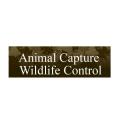 Animal Capture Wildlife Control company logo